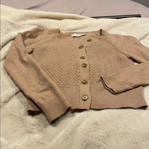 Ann Taylor Loft sweater